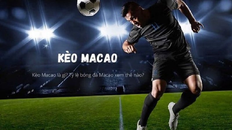 Kèo Macao (châu Á) là loại hình giải trí có sức hấp dẫn lớn
