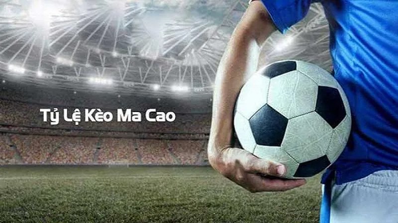 Nhiều tỷ lệ chấp mà bạn có thể lựa chọn để cá cược hiệu quả