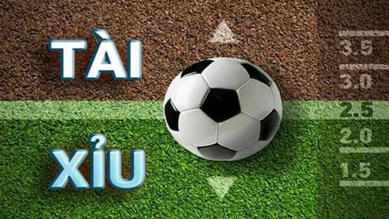 Lựa Chọn Tài Xỉu Theo Xu Hướng Sẽ Giúp Hội Viên Dễ Nắm Bắt Kết Quả Chuẩn Hơn