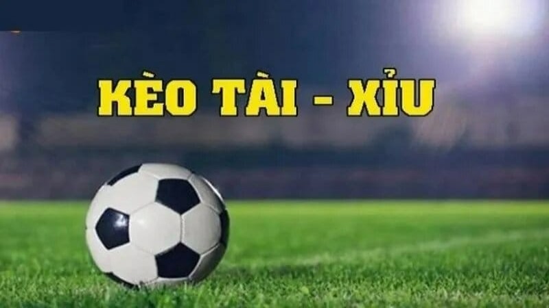 Cược tài xỉu bao gồm nhiều loại kèo hấp dẫn khác nhau