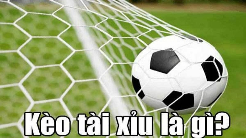 Kèo Tài Xỉu - Bí Quyết Đặt Cược Hiệu Quả Trong Năm 2025