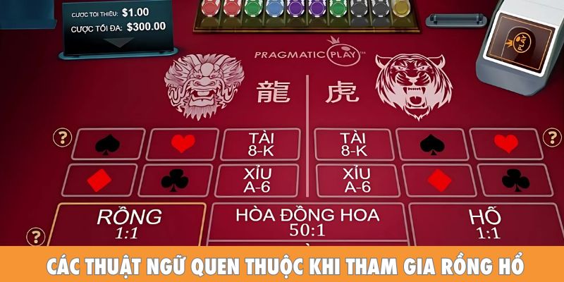 Các thuật ngữ quen thuộc khi tham gia Rồng Hổ