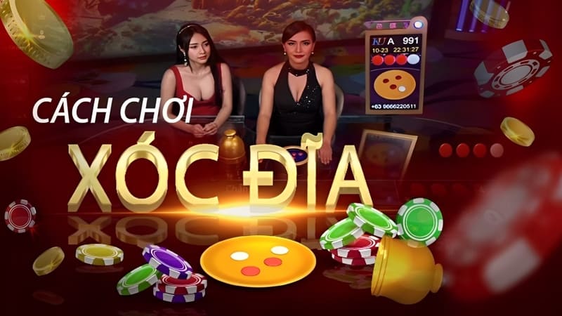 Luật Tham Gia Cơ Bản Người Mới Cần Nắm